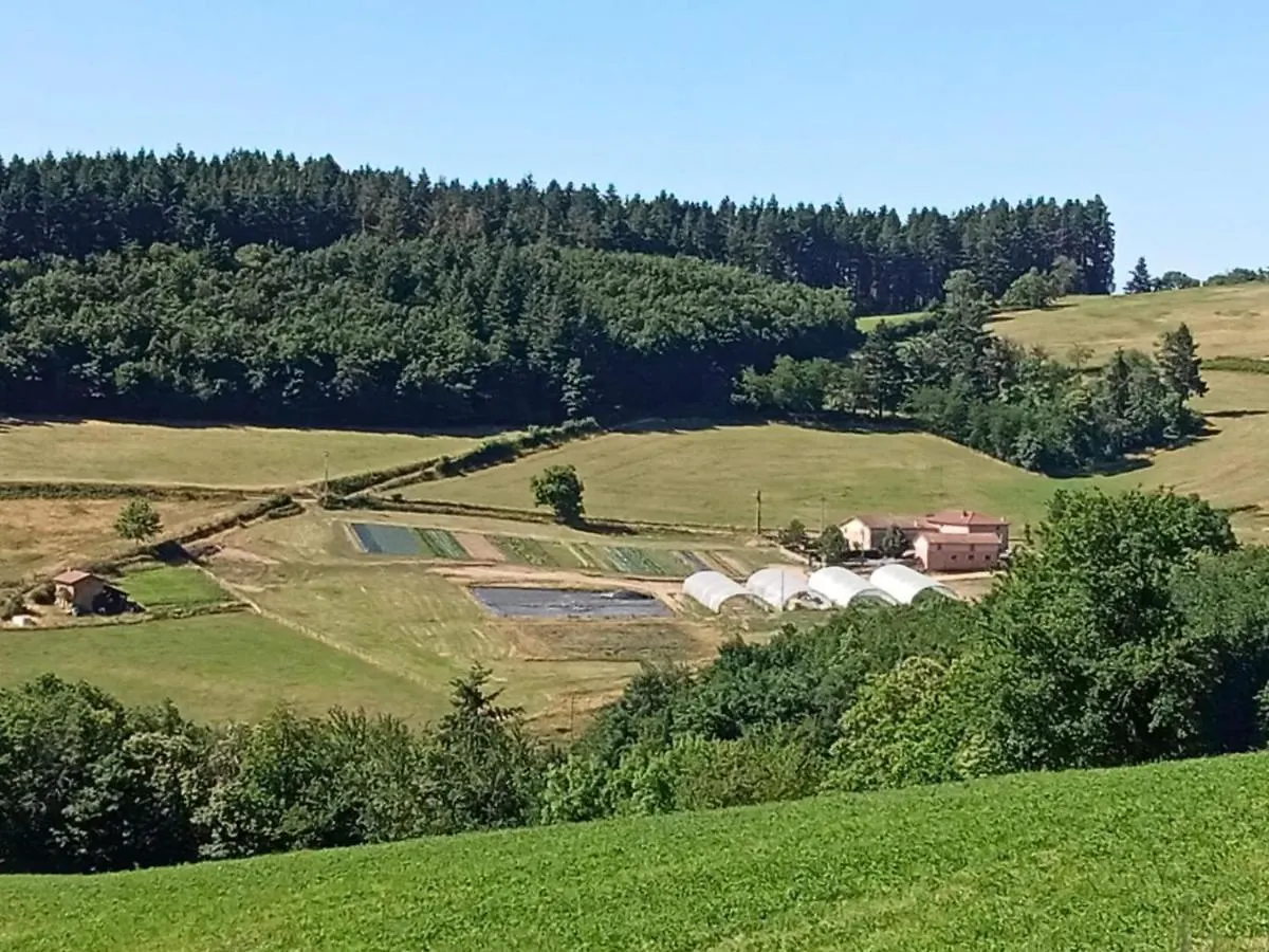 Gite De Charme Avec Jardin, Terrasse Et Poele A Bois En Pleine Nature - Fr-1-496-250 Sevelinges 0*,  France